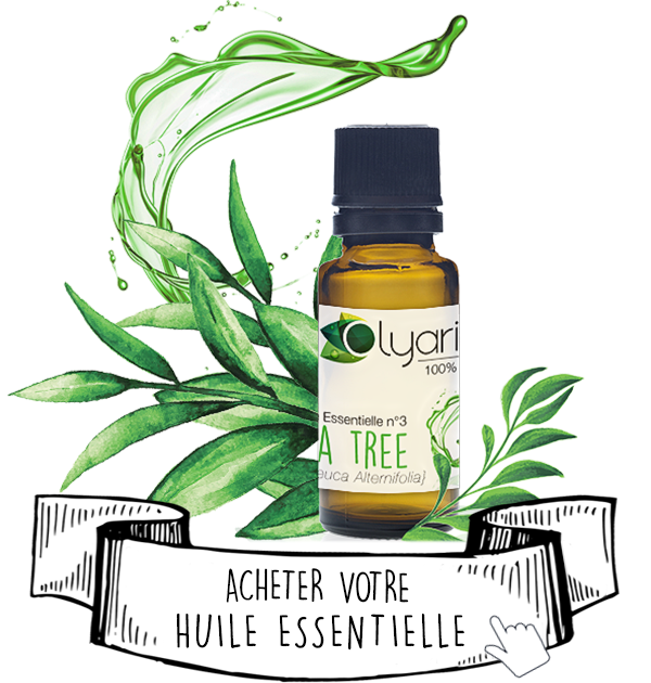 Olyaris - Huile Essentielle de Tea Tree : Le Grand Guide Complet